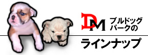 DM�u���h�b�O�p�[�N�̃��C���i�b�v